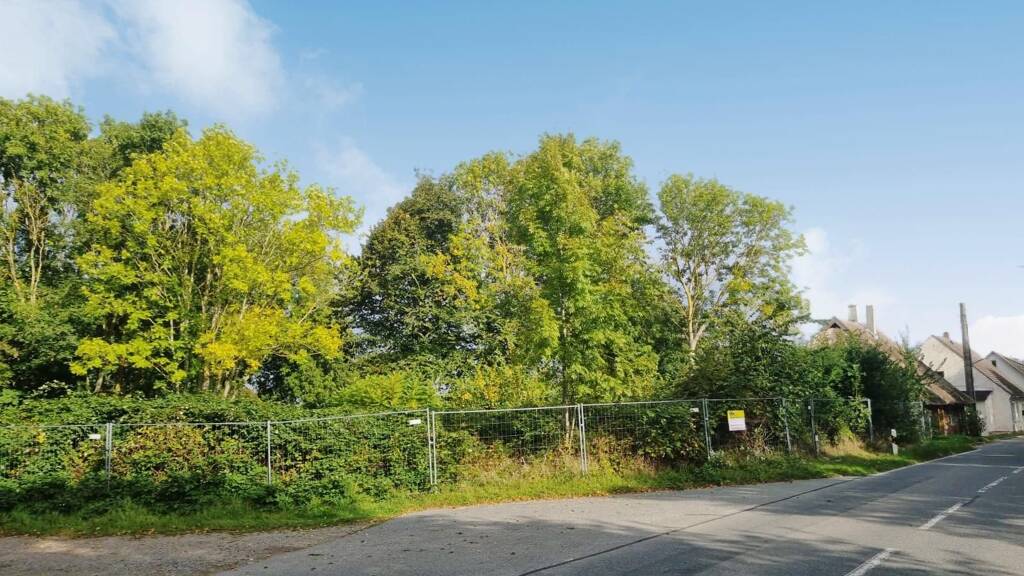 Grundstück zum Kauf 80.000 € 1.075 m² Grundstück Bischofsdorf Wiek 18556