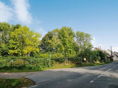 Grundstück zum Kauf 80.000 € 1.075 m² Grundstück Bischofsdorf Wiek 18556