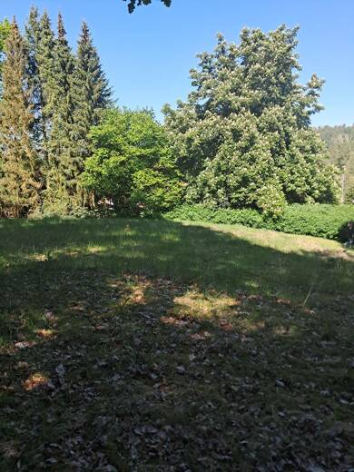 Grundstück zum Kauf provisionsfrei 65.000 € 989 m² Grundstück Nahrendorfer Straße Ventschau Tosterglope 21371