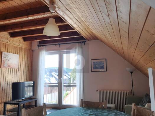 Mehrfamilienhaus zum Kauf 720.000 € 18 Zimmer 400 m² 1.976 m² Grundstück Falkau Feldberg 79868