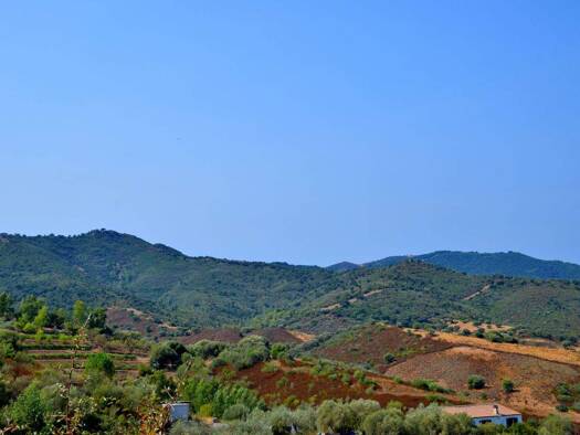 Grundstück zum Kauf provisionsfrei 109.000 € 7.000 m² Grundstück Torpe 08020