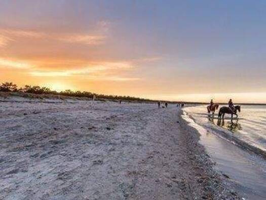 Grundstück zum Kauf provisionsfrei als Kapitalanlage geeignet 329.000 € 999 m² Grundstück Glowe 18551