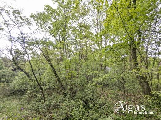 Grundstück zum Kauf 580.000 € 1.329 m² Grundstück Caputh Schwielowsee / Caputh 14548