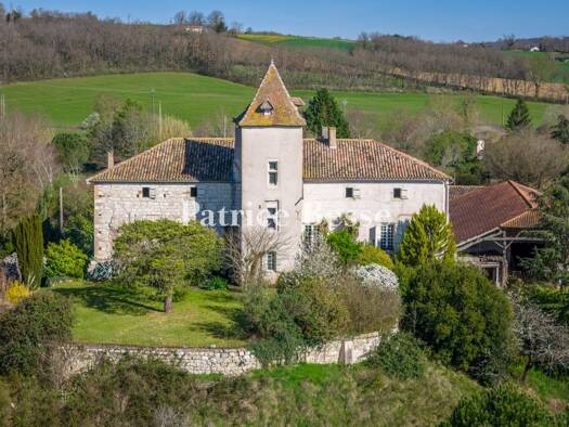 Schloss zum Kauf 495.000 € 6 Zimmer 397 m² 26.134 m² Grundstück Valence 82400