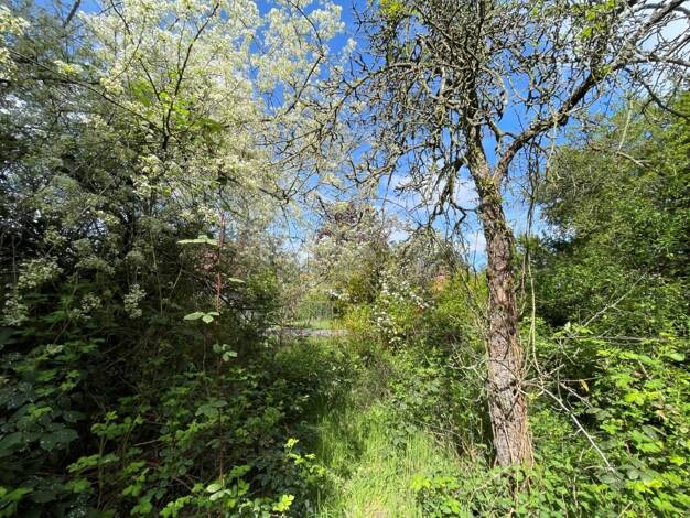 Grundstück zum Kauf 260.000 € 758 m² Grundstück Hennigsdorf 16761