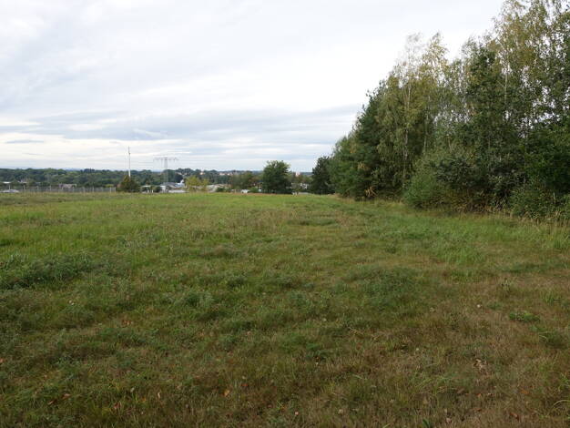 Gewerbepark zum Kauf 649.660 € 11.812 m² Grundstück Großröhrsdorf Großröhrsdorf 01900