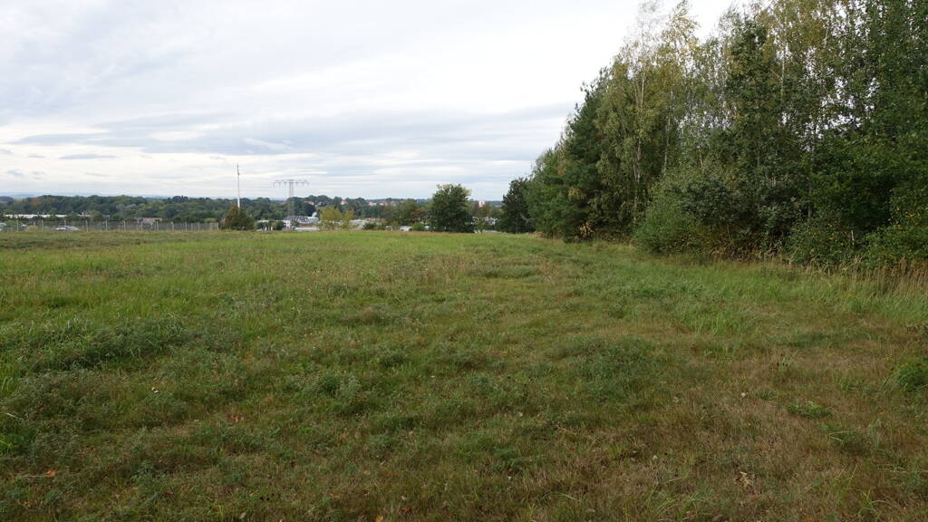 Gewerbepark zum Kauf 549.000 € 11.812 m² Grundstück Großröhrsdorf 01900