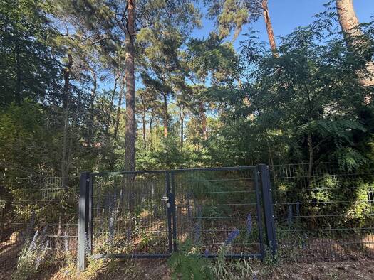 Grundstück zum Kauf 850.000 € 1.200 m² Grundstück frei ab sofort Tannenweg 38 Stahnsdorf 14532