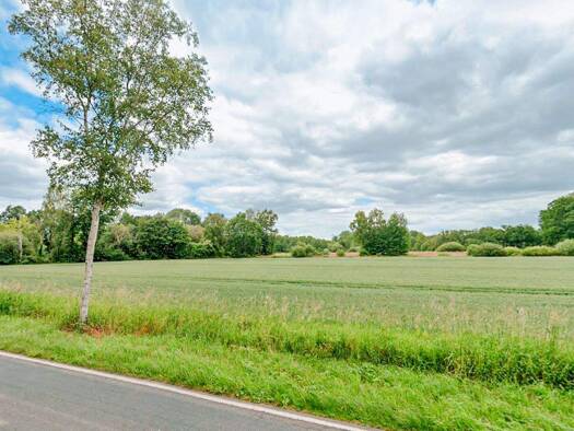 Land-/Forstwirtschaft zum Kauf provisionsfrei 40.000 € 10.143 m² Grundstück Moisburg 21647