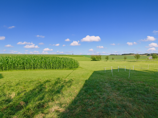 Grundstück zum Kauf 595.000 € 703 m² Grundstück Untergartelshausen Freising 85354
