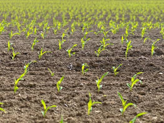 Landwirtschaftliche Fläche zum Kauf 2.650.000 € 211.510 m² 211.510 m² Grundstück Mastholte Rietberg 33397