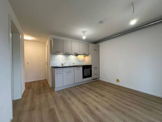 Wohnung zur Miete 650 € 2 Zimmer 33 m² 1. Geschoss frei ab 15.10.2025 Auenstrasse 12 Grießen Klettgau 79771