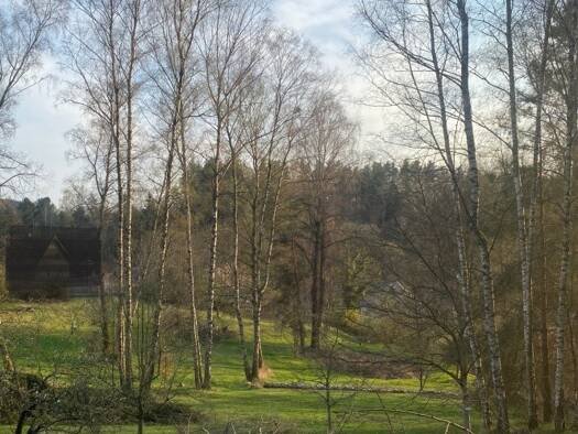 Grundstück zum Kauf 53.000 € 1.150 m² Grundstück Altenhammer Flossenbürg 92696