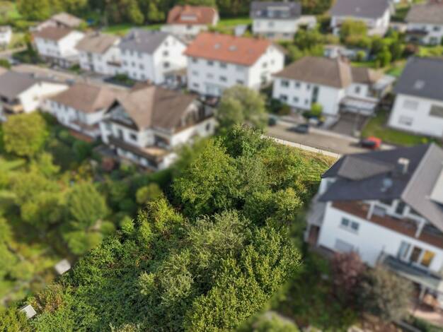 Grundstück zum Kauf 244.000 € 744 m² Grundstück Rödgen Gießen 35394