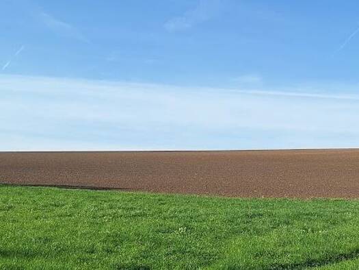 Land-/Forstwirtschaft zum Kauf 32.000 m² Grundstück Haberthal Neufraunhofen 84181