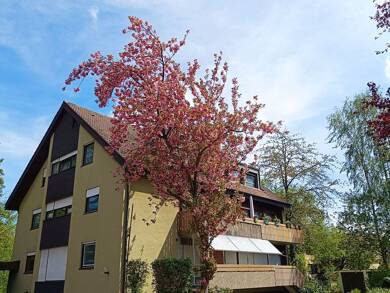 Terrassenwohnung zur Miete 1.370 € 6,5 Zimmer 145 m² EG frei ab sofort Merowingerstraße 27 Forchheim Forchheim 91301