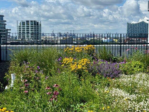 Wohnung zur Miete - Erstbezug 4.092 € 2 Zimmer 141,1 m² 9. Geschoss Überseeallee 2A HafenCity Hamburg 20457