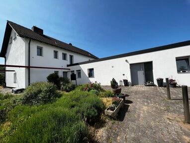 Mehrfamilienhaus zum Kauf 699.900 € 17 Zimmer 519 m² 1.600 m² Grundstück Odernheim 55571