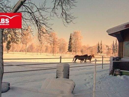 Mehrfamilienhaus zum Kauf 775.000 € 8 Zimmer 260 m² 10.550 m² Grundstück Vinte Neuenkirchen 49586