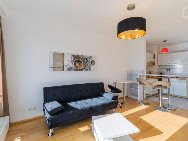Wohnung zur Miete auf Zeit 1.550 € 2 Zimmer 37 m² frei ab 01.07.2026 Mitte Berlin 10117