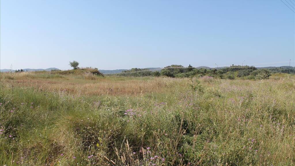 Land-/Forstwirtschaft zum Kauf 425.000 € 30.000 m² Grundstück Korfu