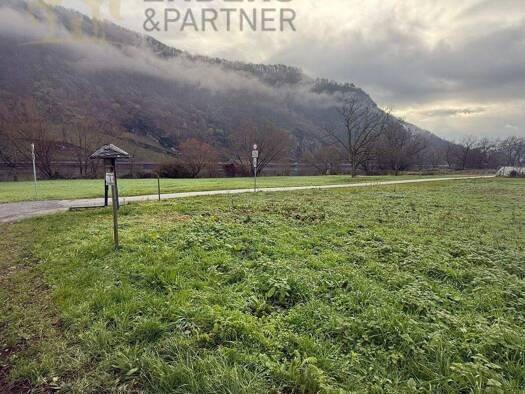 Grundstück zum Kauf 125.000 € 1.000 m² Grundstück Wolf Traben-Trarbach / Wolf 56841