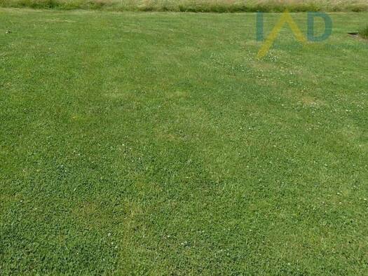 Grundstück zum Kauf 49.000 € 915 m² Grundstück Kroppach 57612