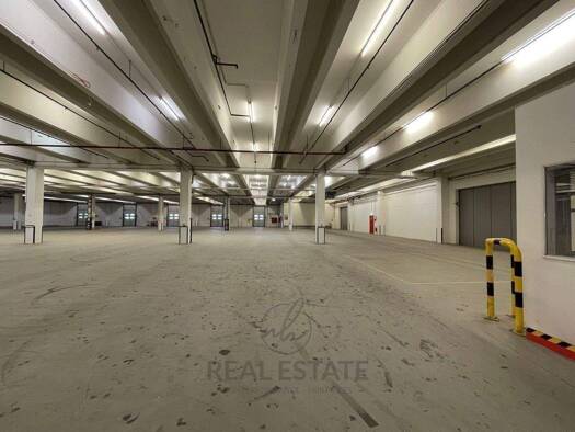 Lagerhalle zur Miete 5.500 m² Lagerfläche Bad Oldesloe 23843