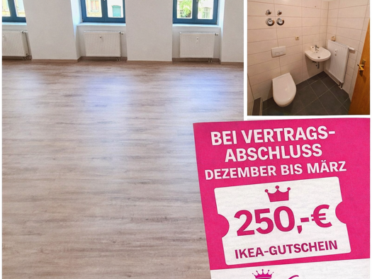 Wohnung zur Miete 220 € 1 Zimmer 30 m² 1. Geschoss frei ab sofort Tschaikowskistraße 72 Sonnenberg Chemnitz 09130