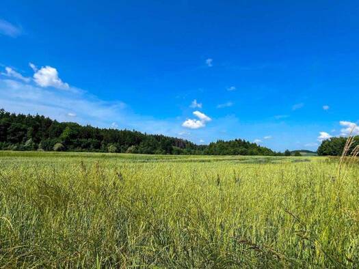 Landwirtschaftliche Fläche zum Kauf 900.000 € 39.772 m² Grundstück Grabenhof Wels 4600