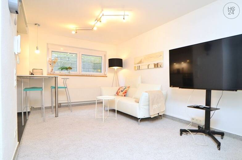 Wohnung zur Miete Wohnen auf Zeit 895 € 2 Zimmer 45 m² frei ab 01.06.2025 Adelsdorf Adelsdorf 91325