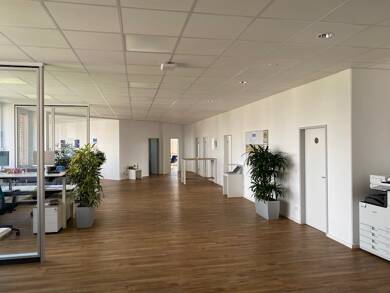 Bürofläche zur Miete provisionsfrei 9 € 1.695,7 m² Bürofläche teilbar ab 128 m² Hammfeld Neuss 41460