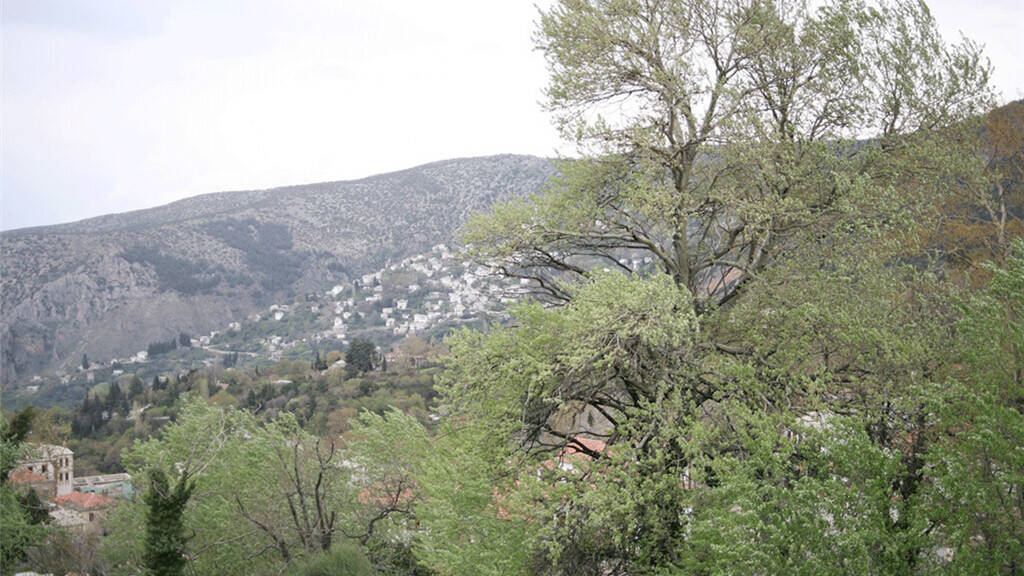 Land-/Forstwirtschaft zum Kauf 400.000 € 3.617 m² Grundstück Pilion