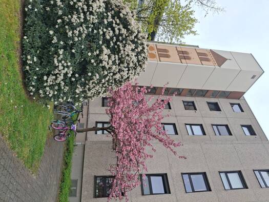 WG-Zimmer zur Miete 899 € 3 Zimmer 66 m² Geschoss 4/5 frei ab sofort Aschaffenburger Straße 30 Walldorf Mörfelden-Walldorf 64546