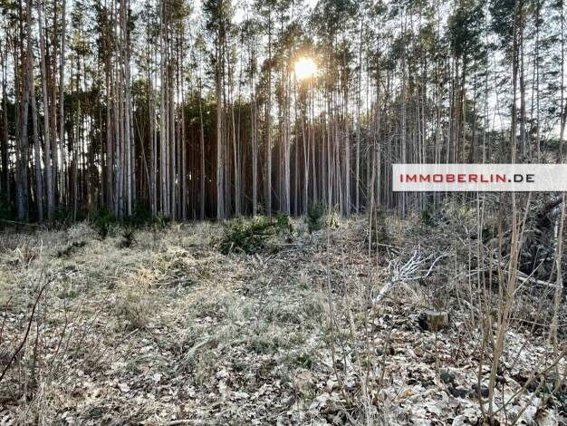 Grundstück zum Kauf 150.000 € 856 m² Grundstück Kummersdorf Storkow (Mark) 15859