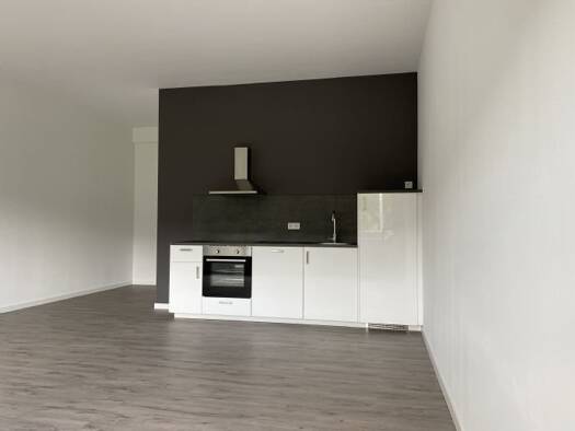 Studio zur Miete 882 € 2 Zimmer 84 m² Geschoss -1/2 frei ab sofort Erbacher Straße 72 Roßdorf Roßdorf 64380