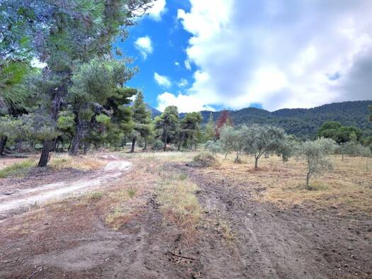Landwirtschaftliche Fläche zum Kauf 990.000 € Municipality of Sithonia