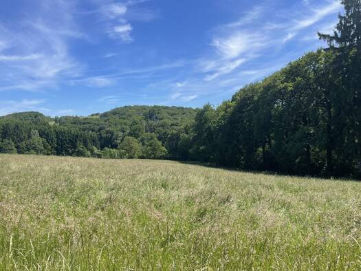 Gewerbegrundstück zum Kauf provisionsfrei 120.000 € 12.798 m² Grundstück Dorner Weg 52 Elberfeld Elberfeld 42119