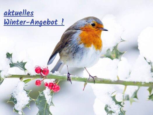 Mehrfamilienhaus zum Kauf 679.000 € 9 Zimmer 255 m² 938 m² Grundstück Großbottwar 71723