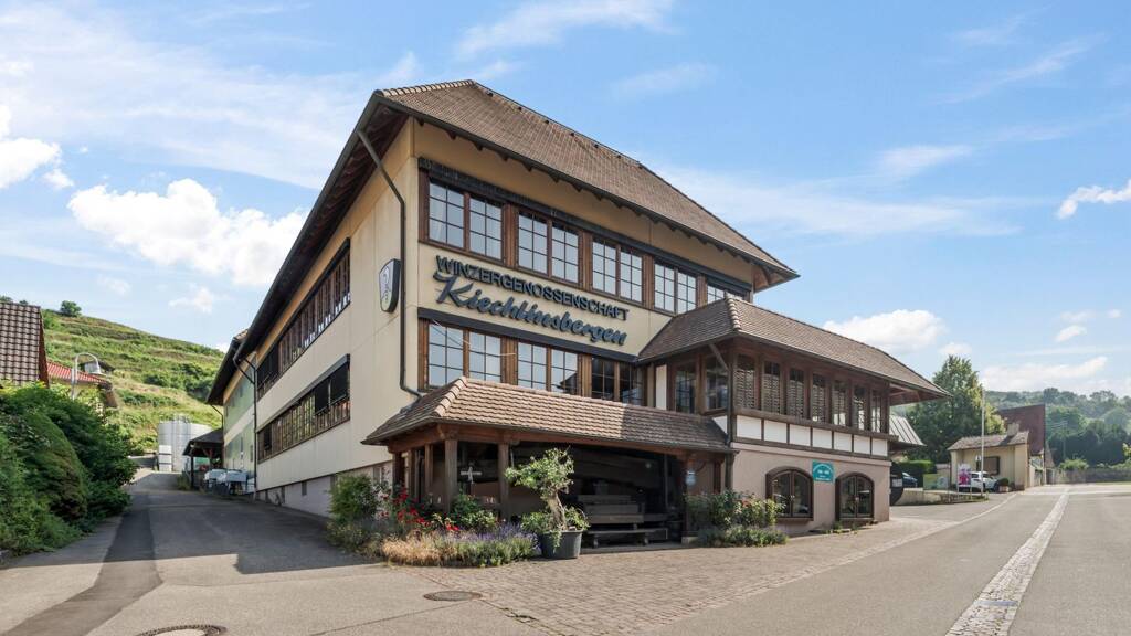 Grundstück zum Kauf 5.719 m² Grundstück Kiechlinsbergen Endingen 79346