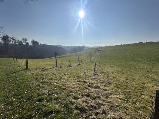 Land-/Forstwirtschaft zum Kauf 138.753 € 46.251 m² Grundstück Sichtigvor Warstein 59581