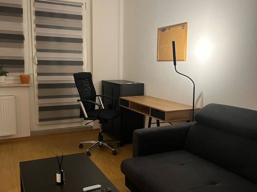 Wohnung zur Miete 236 € 1 Zimmer 34 m² Geschoss 2/5 frei ab sofort Schomerusstraße Winzerla Jena 07745