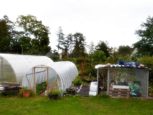 Grundstück zum Kauf 199.000 € 570 m² Grundstück Werneuchen 16356