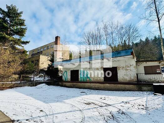 Gewerbegrundstück zum Kauf 99.000 € 13.048 m² Grundstück Reichenfels Hohenleuben 07958
