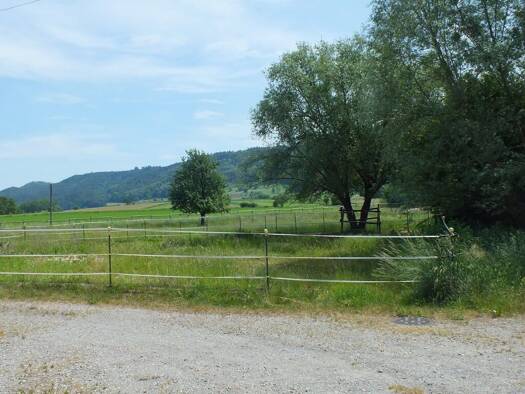 Landwirtschaftliche Fläche zum Kauf provisionsfrei 970.000 € 21.000 m² Grundstück Rielasingen Rielasingen-Worblingen 78239