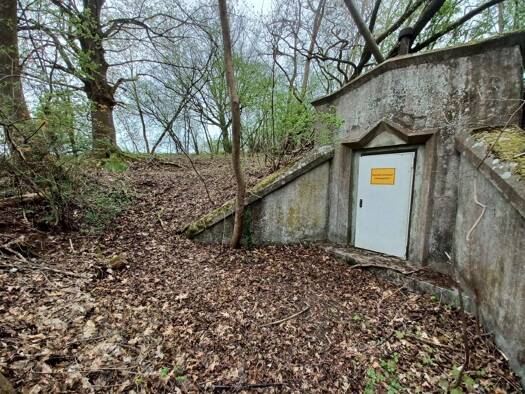 Land-/Forstwirtschaft zum Kauf provisionsfrei 1.250 € 764 m² Grundstück Auf der Schanze Lütgenhausen Rhumspringe 37434