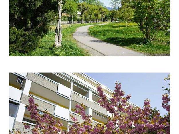 Wohnung zur Miete 895 € 2 Zimmer 59,5 m² EG Am Alpengarten Aeschach Lindau 88131