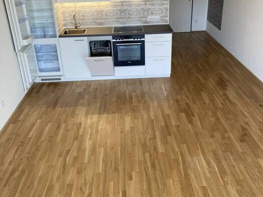 Studio zur Miete 507 € 1 Zimmer 35 m² Ferdinand-Platzer-Gasse Wien 1210