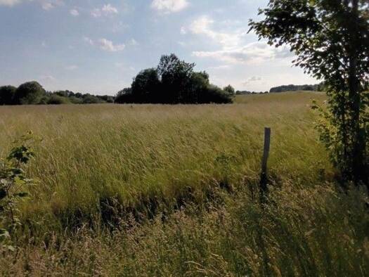 Grundstück zum Kauf 300.000 € 80.000 m² Grundstück Gemeinde Saalfeld 14230