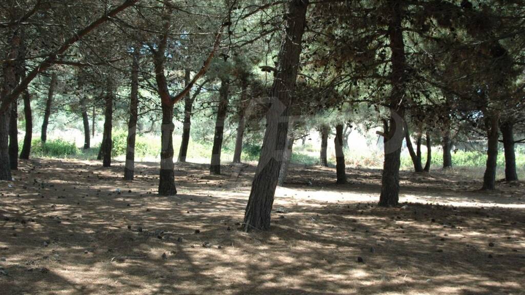 Landwirtschaftliche Fläche zum Kauf 4.000.000 € Nea Roda